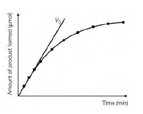 1116_Enzyme units.png